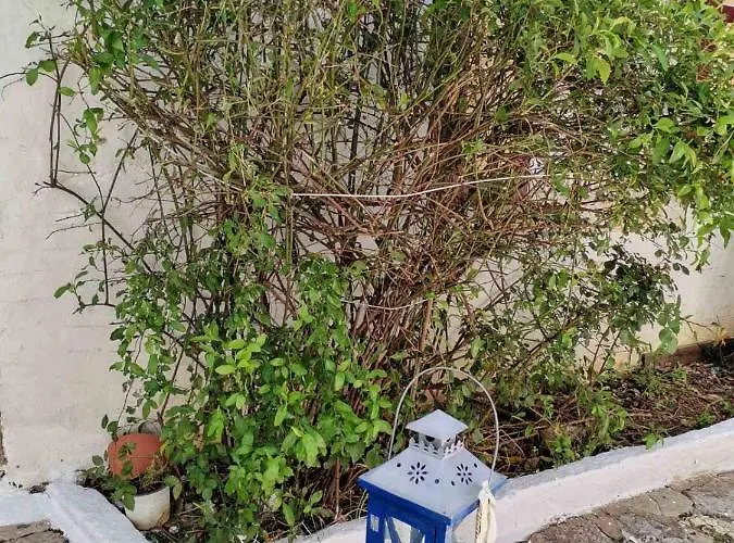 Nyaraló Giannas House *